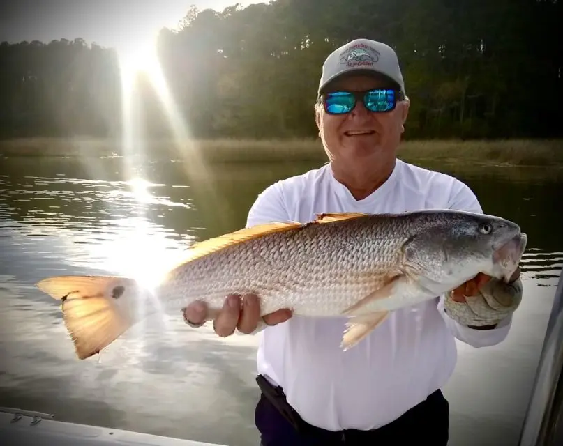 Spring Red Drum in the Lower Bay